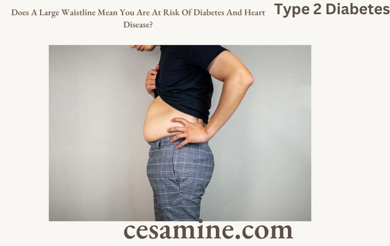 Does A Large Waistline Mean You Are At Risk Of Diabetes And Heart Disease