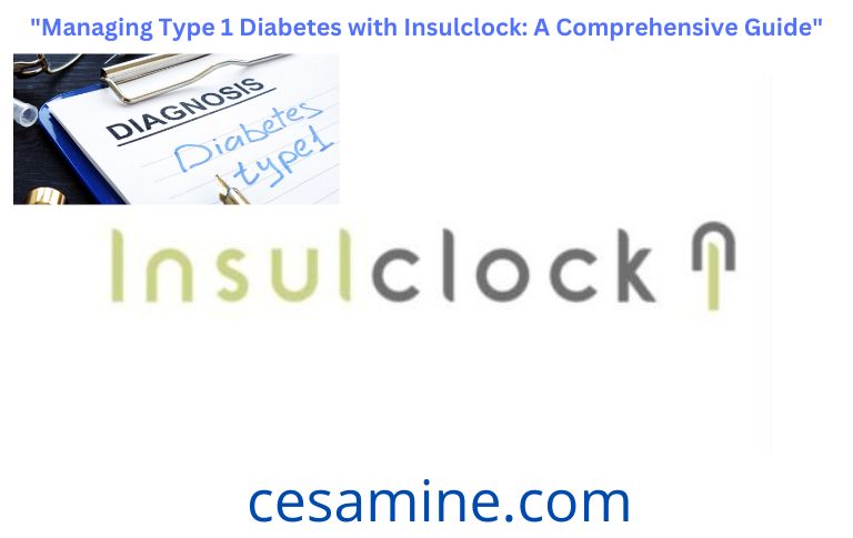 Managing Type 1 Diabetes with Insulclock