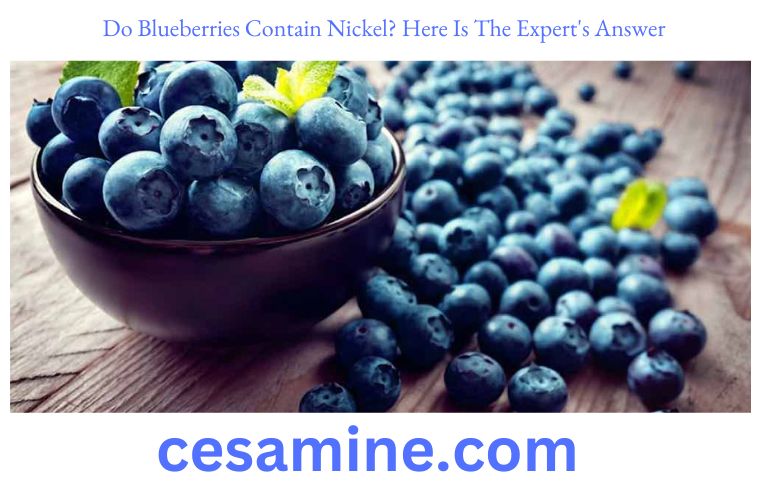 Do Blueberries Contain Nickel