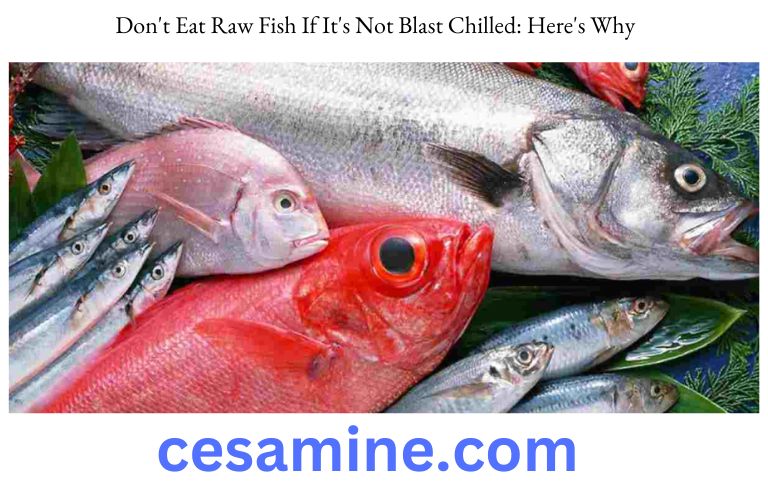 Don't Eat Raw Fish If It's Not Blast Chilled