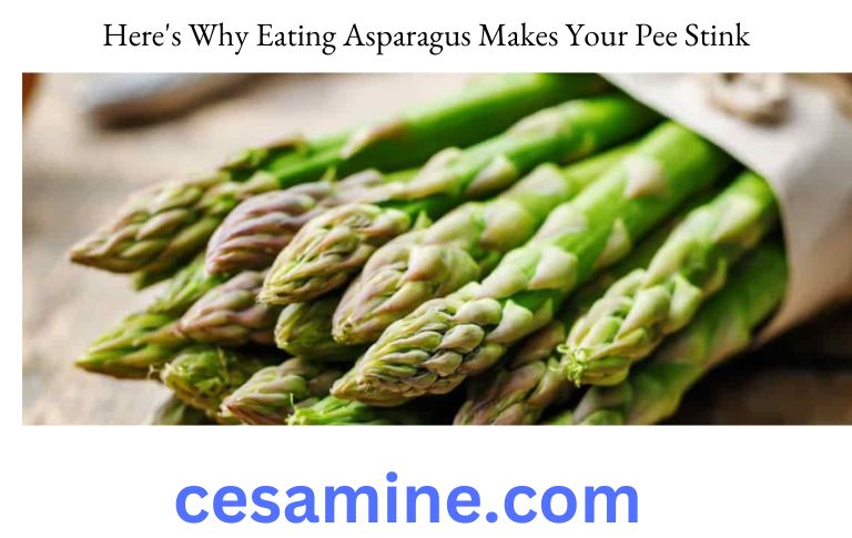 Here's Why Eating Asparagus Makes Your Pee Stink