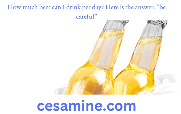 How much beer can I drink per day