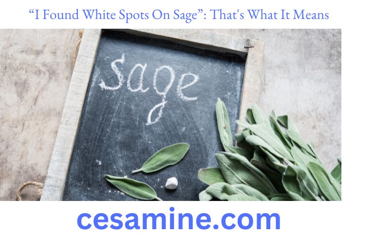 I Found White Spots On Sage