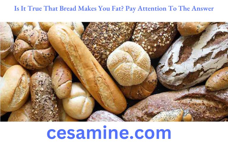 Is It True That Bread Makes You Fat