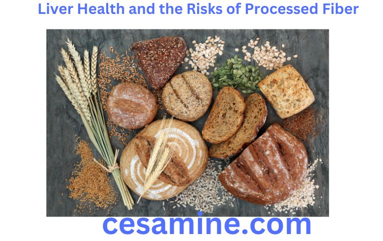 Liver Health and the Risks of Processed Fiber