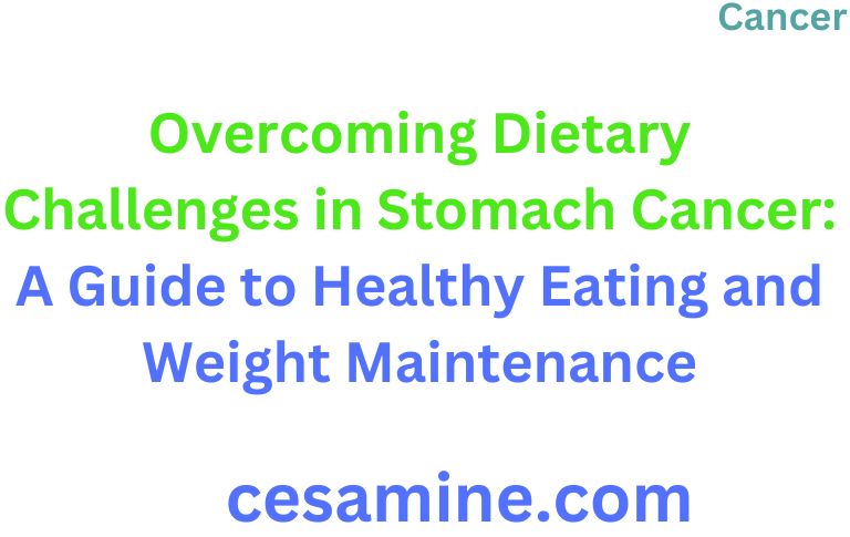 Overcoming Dietary Challenges in Stomach Cancer