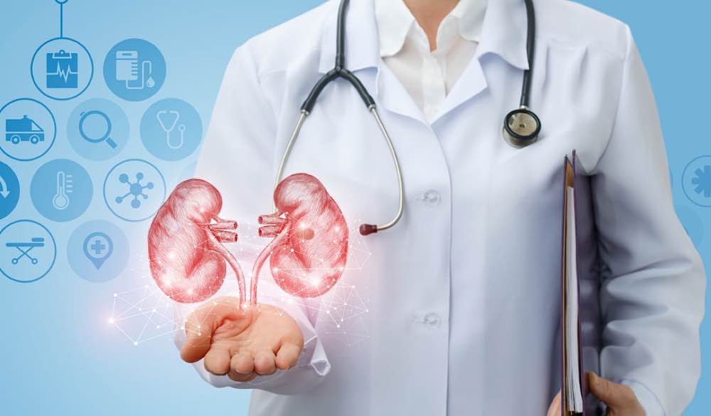 Protecting the kidneys: this is the trick that surprises everyone