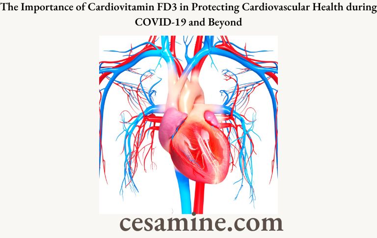 The Importance of Cardiovitamin FD3 in Protecting Cardiovascular Health