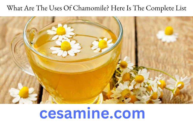 What Are The Uses Of Chamomile