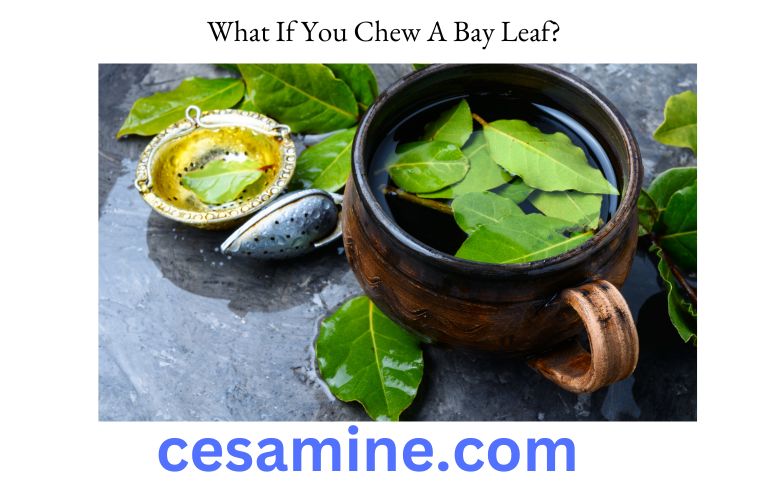 What If You Chew A Bay Leaf
