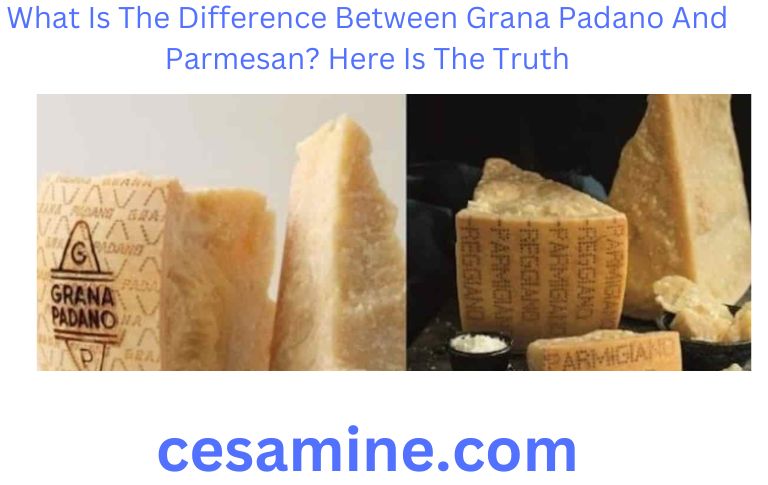 What Is The Difference Between Grana Padano And Parmesan