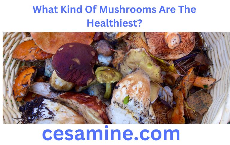 What Kind Of Mushrooms Are The Healthiest