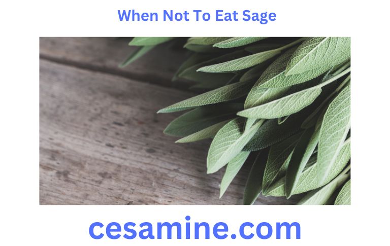 When Not To Eat Sage