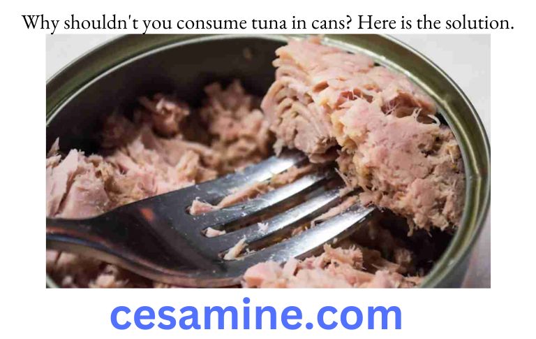 Why shouldn't you consume tuna in cans