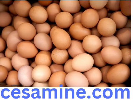 eggs are full of vitamin D and B12