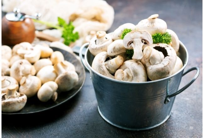 Can you eat mushrooms raw
